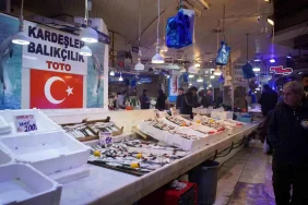 Sakarya'da İstavrit Bolluğu Yaşanıyor