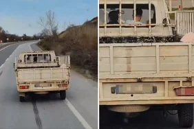 Kamyonun Kasasında Gördüğü Manzaraya Isyan Etti: Ufacık çocuk Ya, şuraya Bak | Havadisname – Sakarya Karasu Kocaali Haberleri