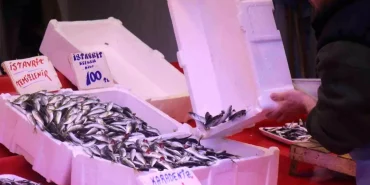 Hamsinin yokluğunu kapattı, fiyatı dibi gördü! Tezgahın en ucuzu