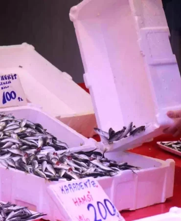 Hamsinin yokluğunu kapattı, fiyatı dibi gördü! Tezgahın en ucuzu