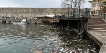 Zonguldak ve Sakarya'da Fırtına ve Rüzgar Felaketi